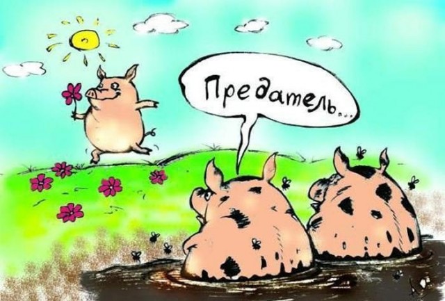 Нижний Новгород обошел по качеству жизни Рим, Париж и Лондон...