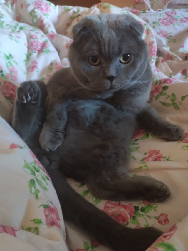 Пополнение!