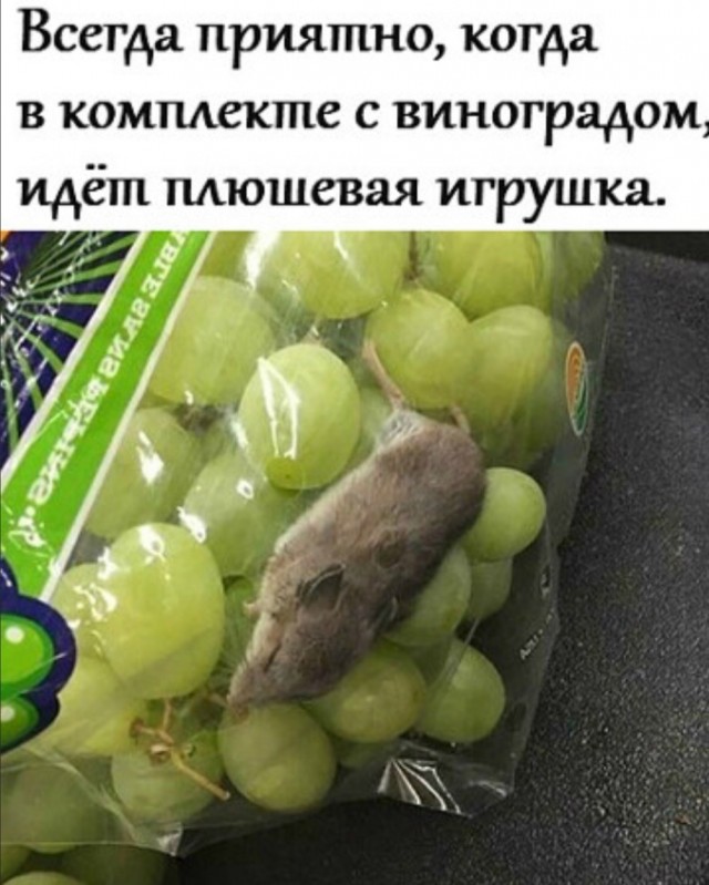Бредзона 10.11.2020