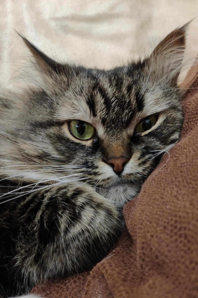 Моя красотка