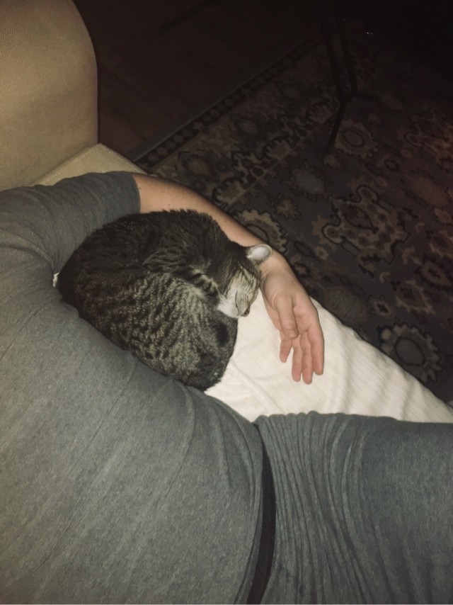В постели с котом