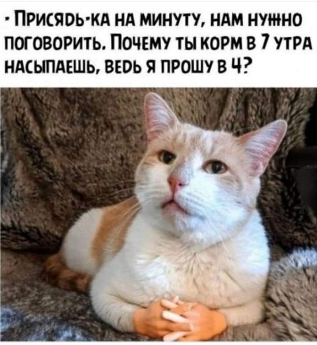 Картинки с надписями и всякие жизненные фразы