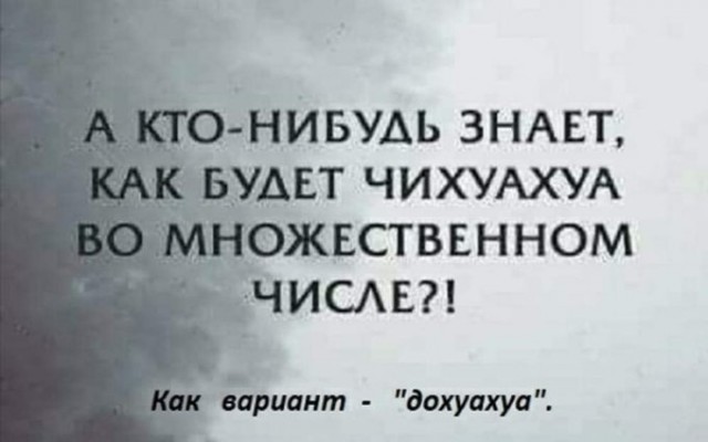 Так себе картинки 16.02.21