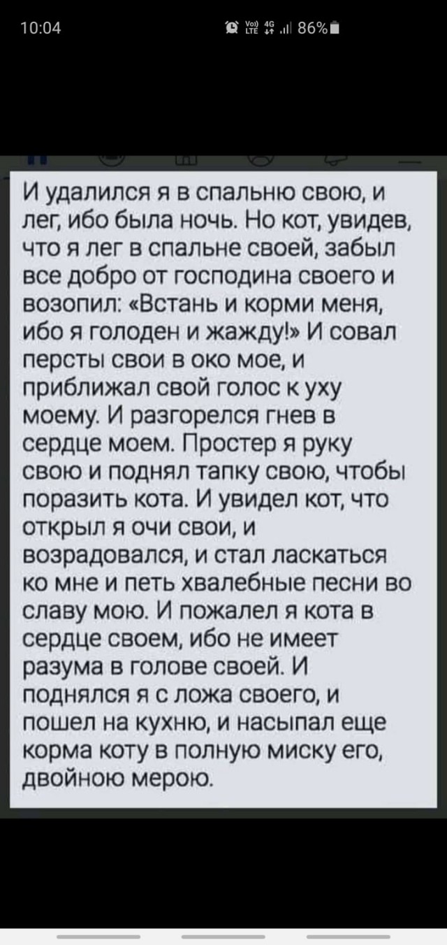 Немного картинок с надписями и без - 28.02.21