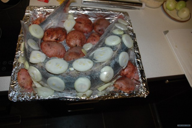 Все из рыбы!