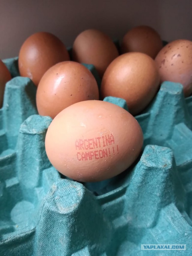 Подборка идиотских фотографий