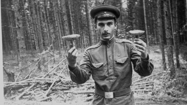 Приехал товарищ
