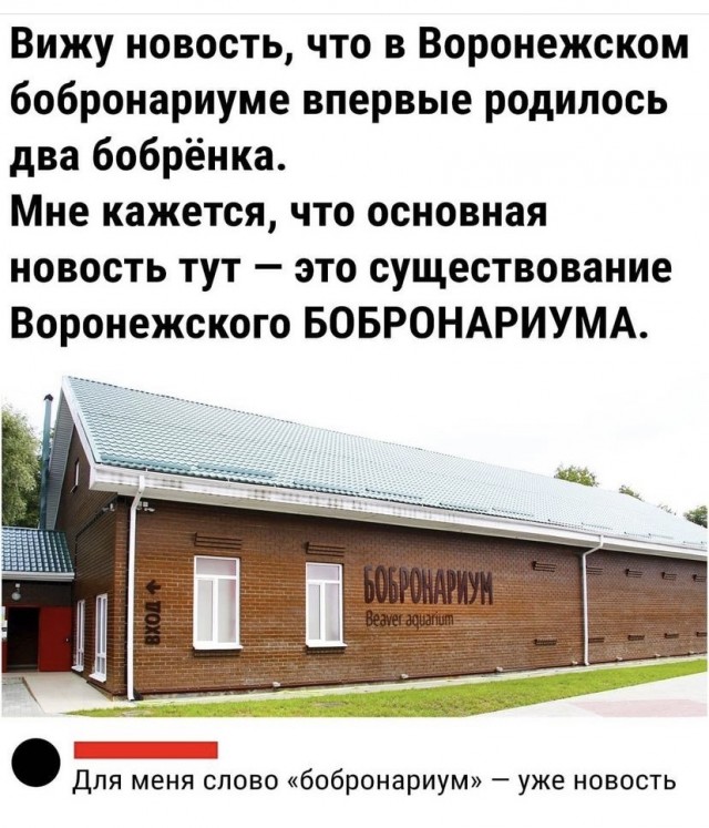 Так себе картинки 05.10.21