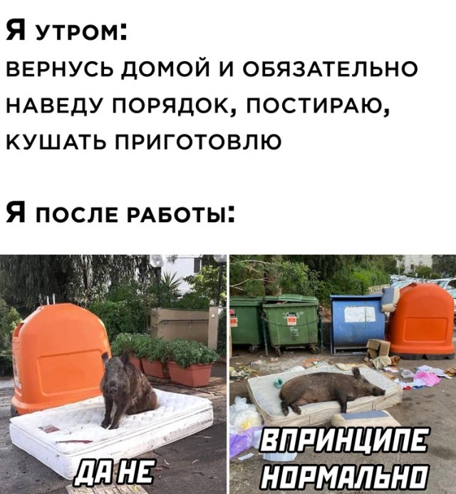Весёлый полтишок 10.10