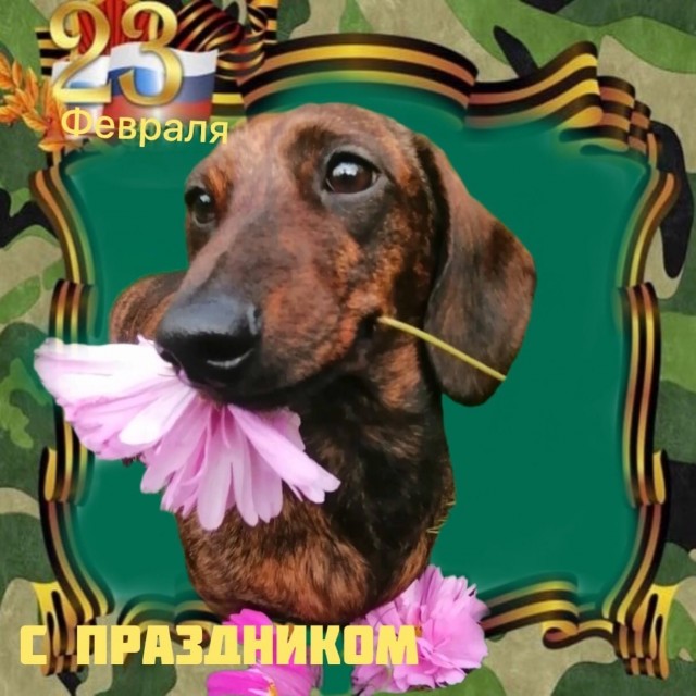 Ну что, с Днём Советской Армии и Военно-Морского Флота!