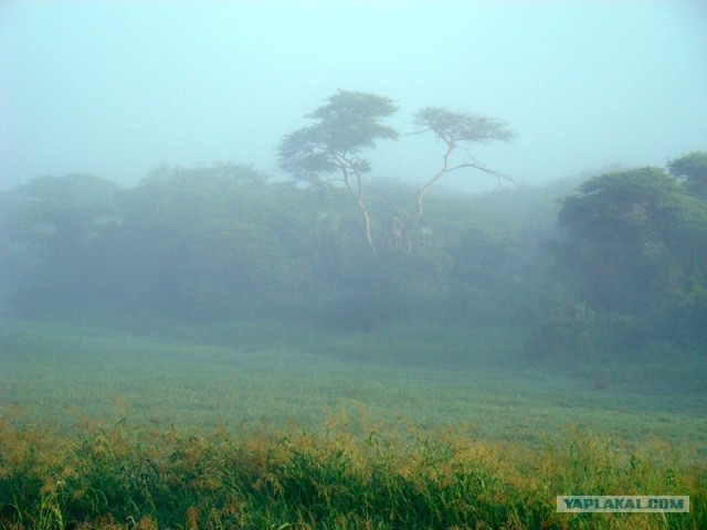Yes! It's Africa