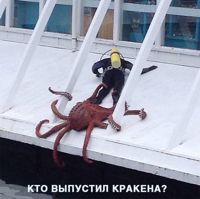 Немного картинок и прочей хреноты Vol. 11