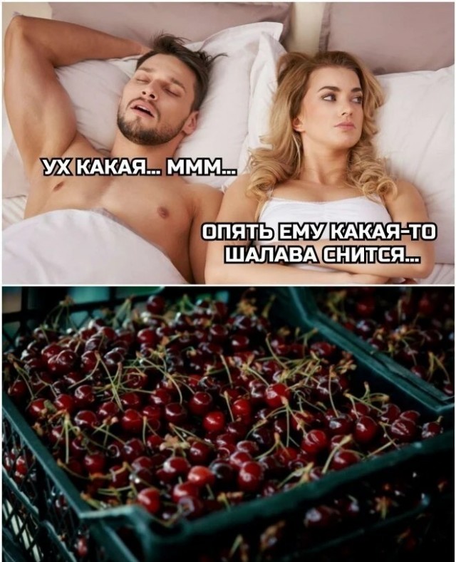 Немного баянов вам в ленту
