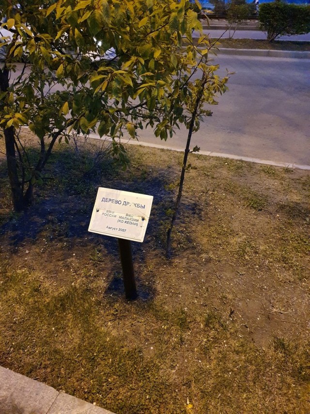 Владивосток – «и только море воды»