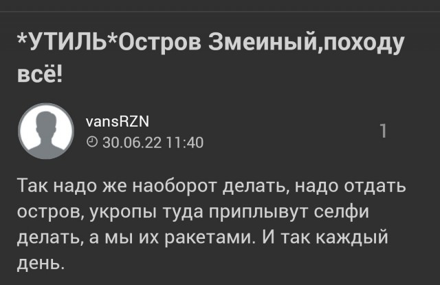 ВКС России нанесли удар по фотографировавшимся с флагом на Змеином военным Украины