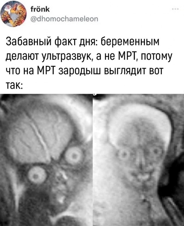 Так себе картинки 10.07.22