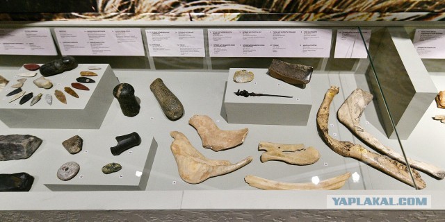 Поселение Аркаим на Южном Урале. История обнаружения ровесника Стоунхенджа и египетских пирамид