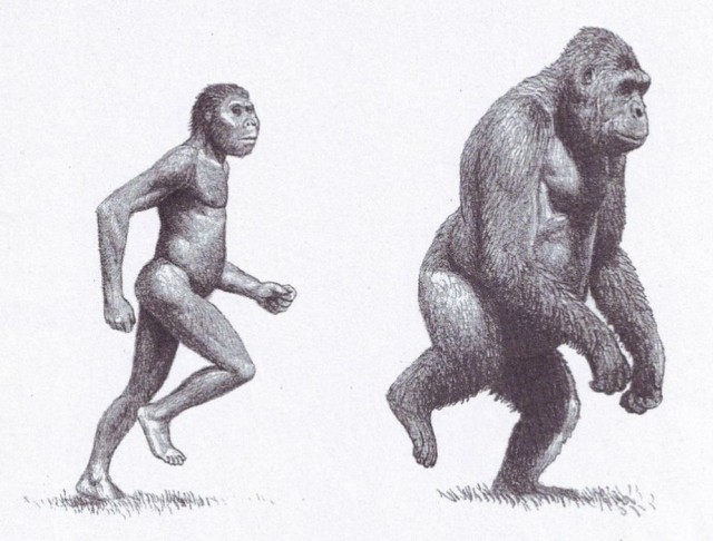 Почему у нас нет шипов на пенисе, от кого мы подцепили лобковых вшей, и почему блондинки сексуальнее брюнеток?