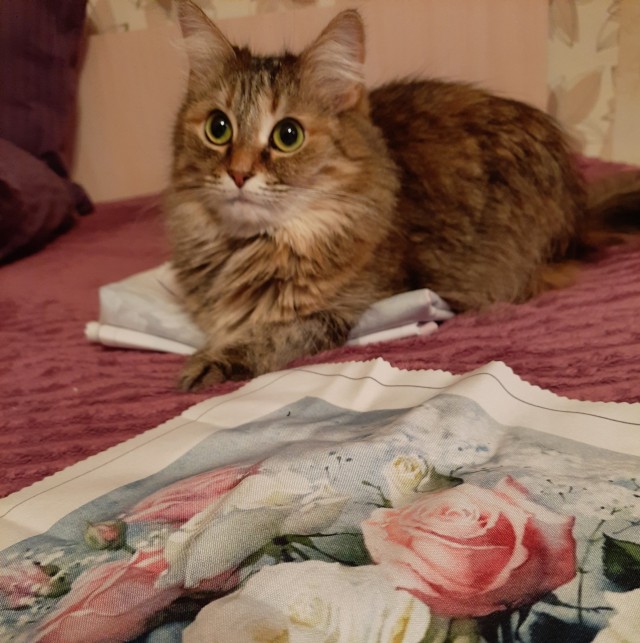 - Подтяни! - Щя!