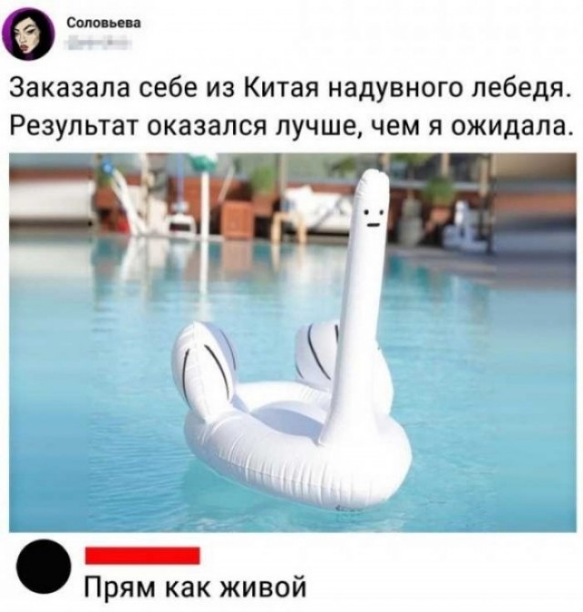 Так себе картинки 12.02.23