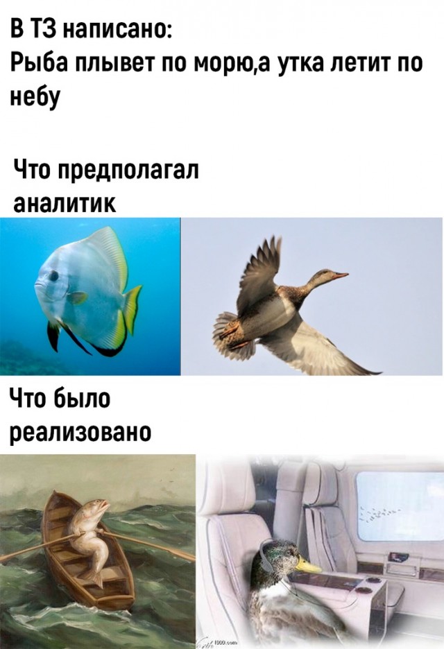Так себе картинки 15.02.23
