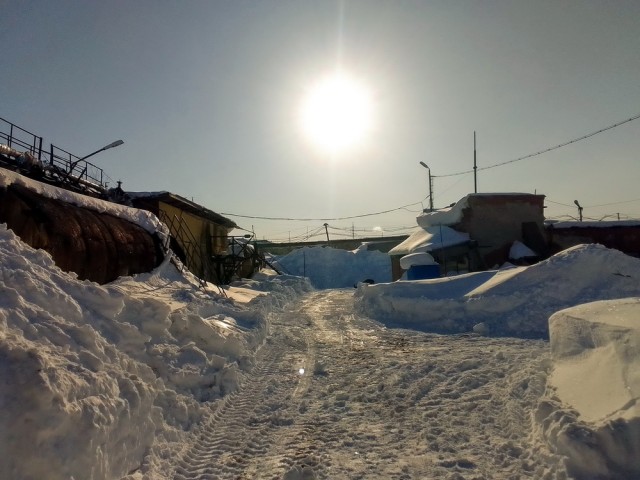 Погода в Новосибирске сегодня