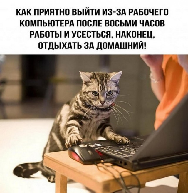 Нуштош 19.04.2023