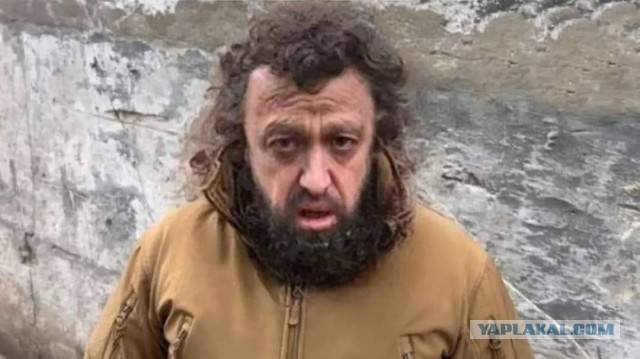 Талибы пригрозили завоевать Иран за 24 часа