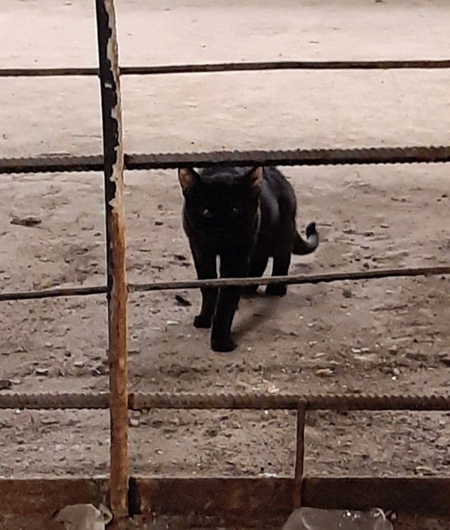 Секс без обязательств НА САМОМ ДЕЛЕ
