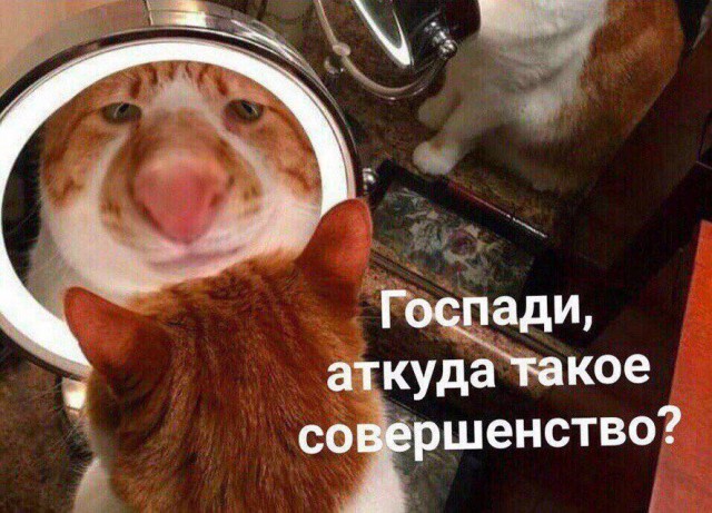 Какэж я красивэ