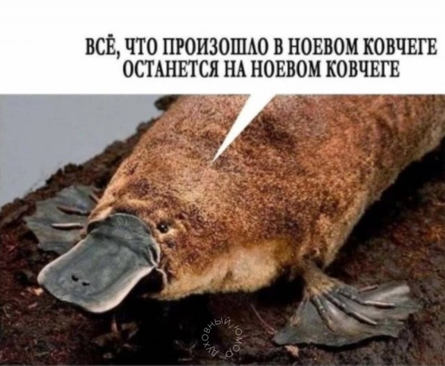 Набор на Ноев ковчег