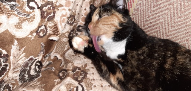 Утро понедельника