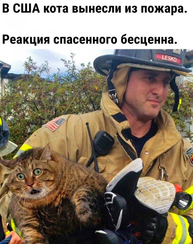 Так себе картинки 09.10.23