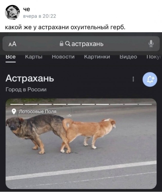 Так себе картинки 28.10.23