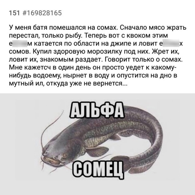 Так себе картинки 02.11.23
