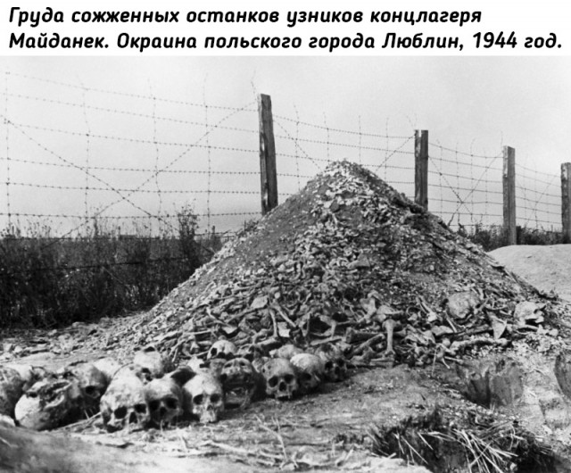 Небольшая подборка исторических фото (07.11)