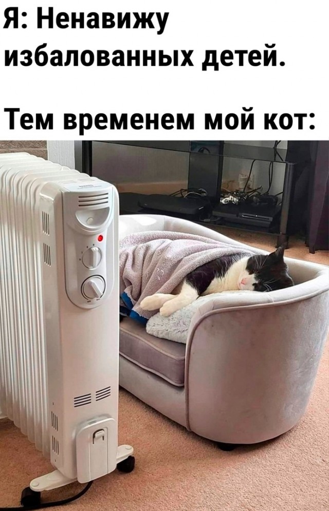 Так себе картинки 19.12.23