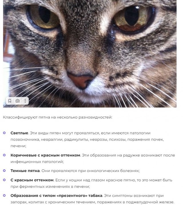 Что будет, если не есть мясо