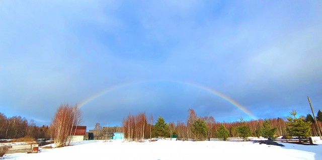 Сегодняшнее фото без затей