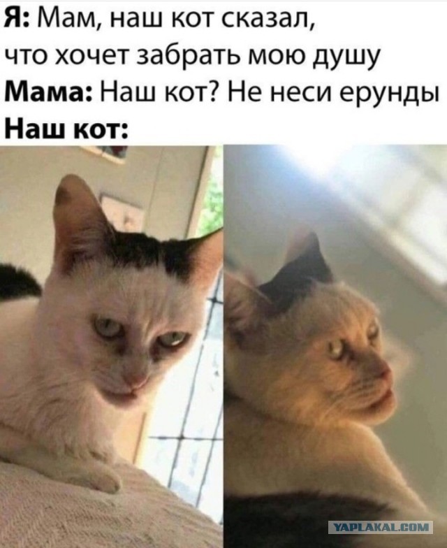 Всего понемногу. От 24.07.24