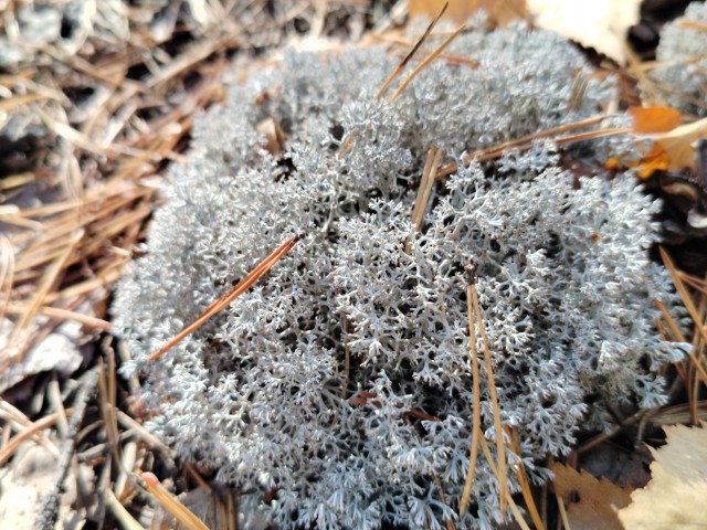 Осень на озёрах 2