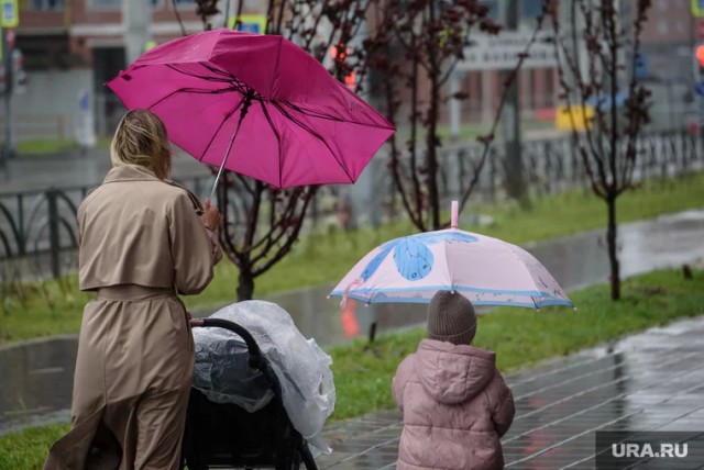 В России предложили платить алименты совершеннолетним до 23 лет