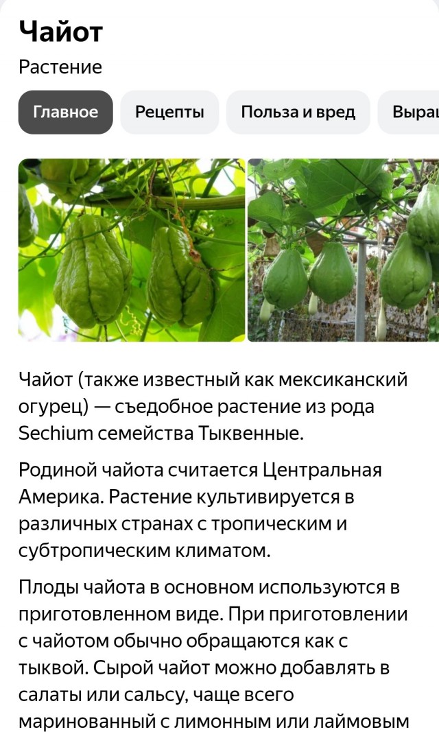 Стабильность