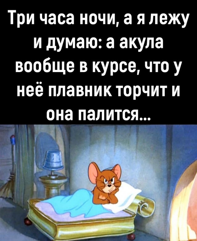 Так себе картинки 27.11.24