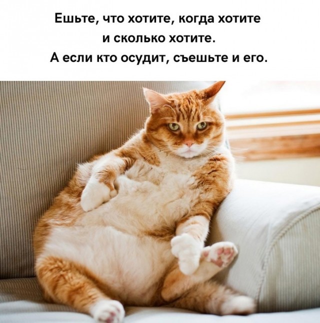 Весёлый полтишок 16.02.25