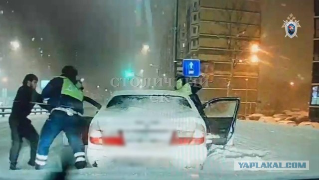 Опять они
