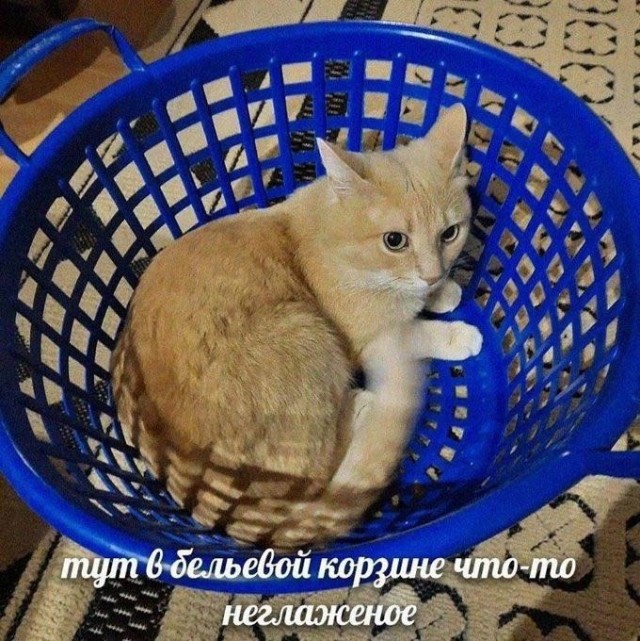 Так себе картинки 27.03.25
