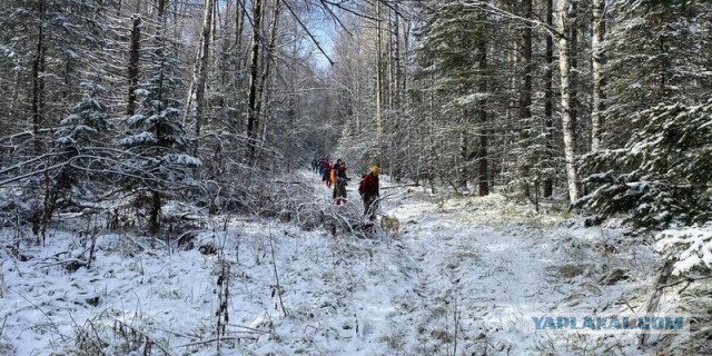 В Красноярском крае пропала семья с ребенком в лесу