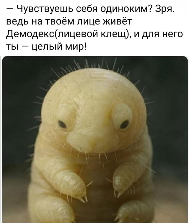 Маленькая пятница 22.10