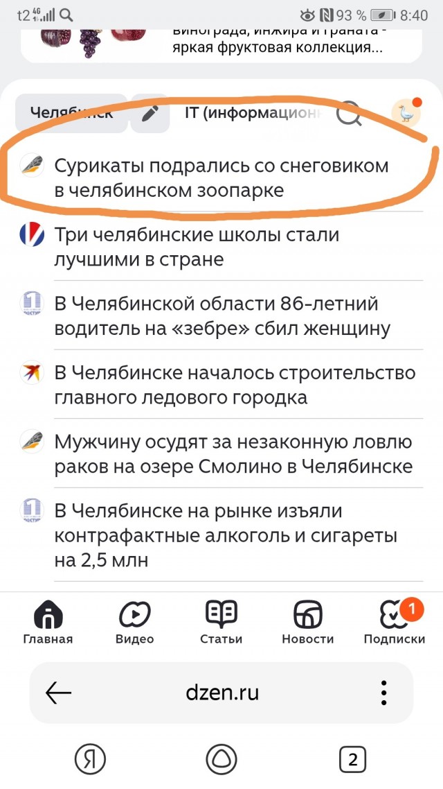 Сурикаты впервые увидели снег в Челябинском зоопарке